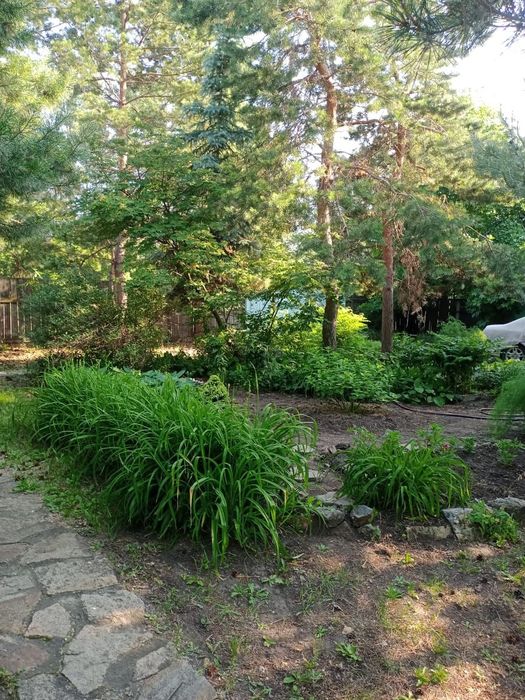 Дача,дом,особняк