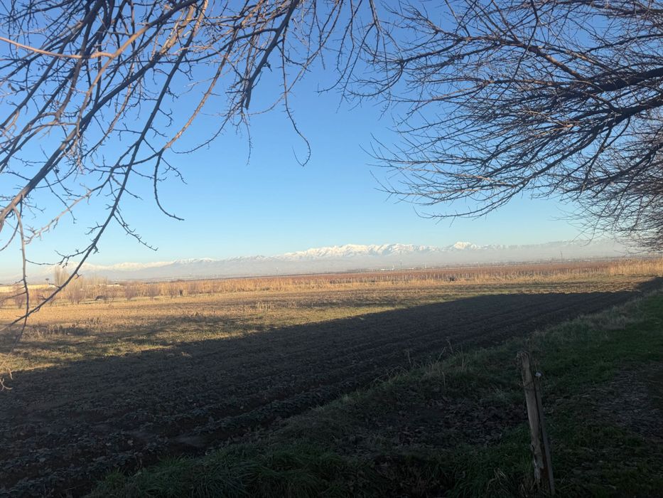 Продается теплица в Кибрае