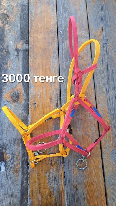 Недоуздок,  нокта