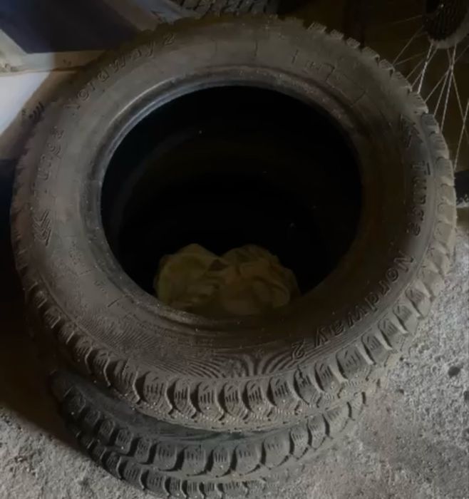 Продам зимние шины  р14