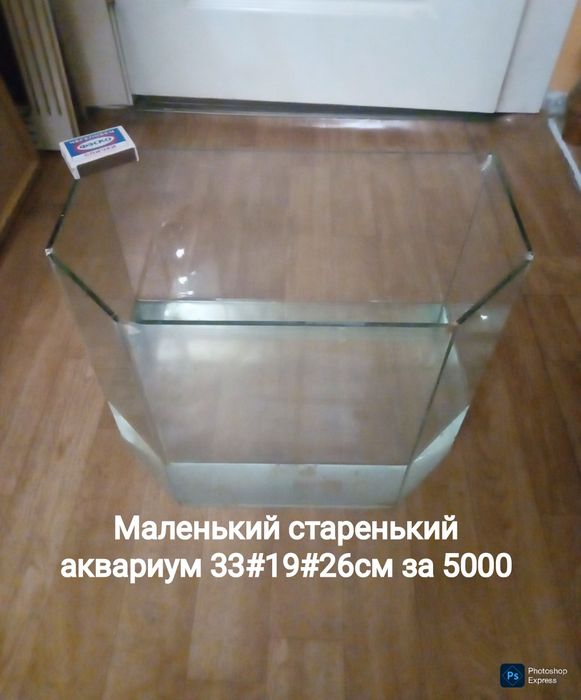 Аквариум для хомячка