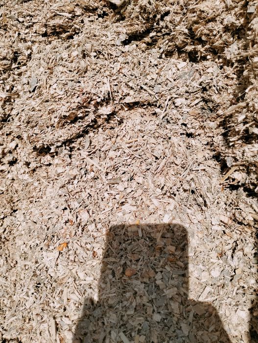 Vând siloz de porumb