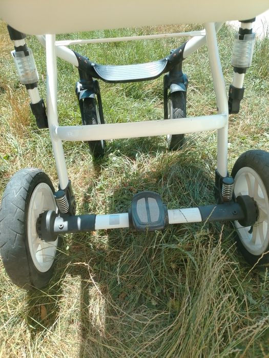 Carucior și scoica
