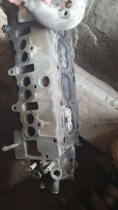 Головка Карина Е Европец