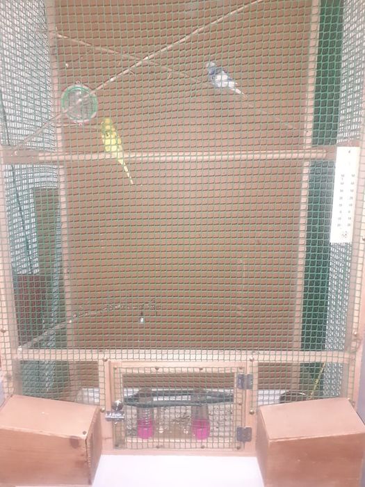 Продам клетку с попугаями