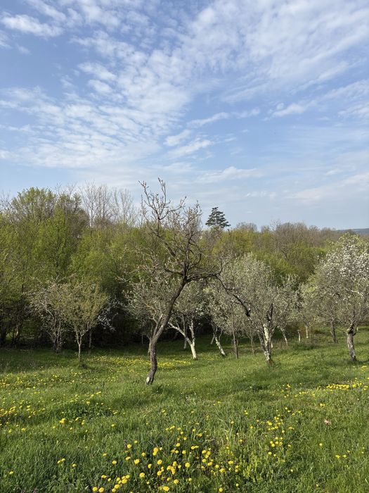 TEREN + CASĂ + LIVADĂ | 5200 mp ideal investietie sau locuinta