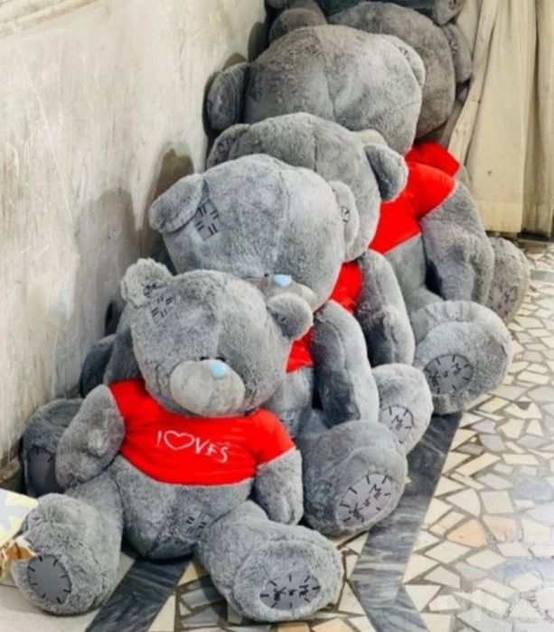 Teddi ayiq teddy