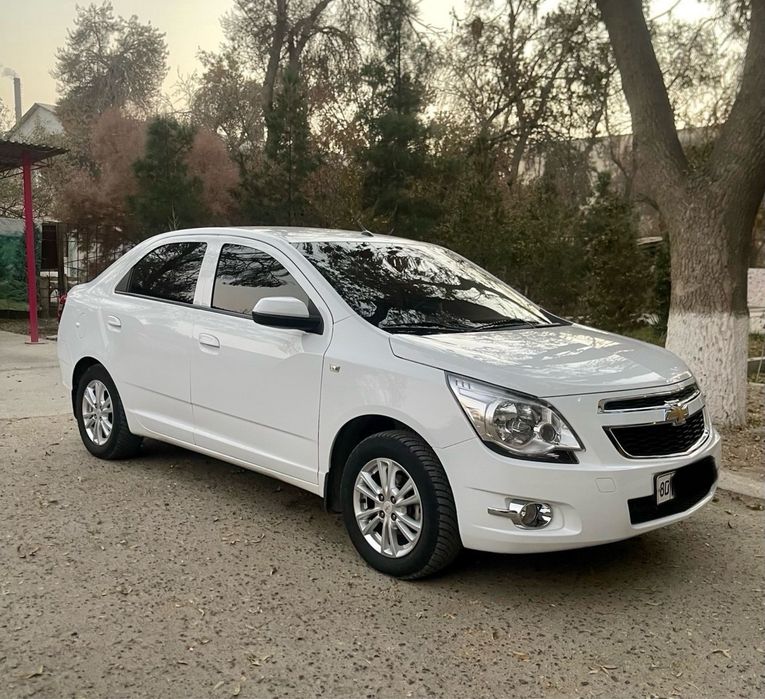 Cobalt2022 Radnoy