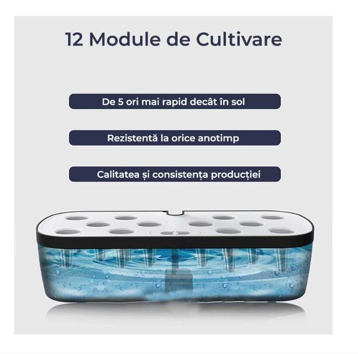 Ghiveci Inteligent, hidrofonic de Crestere, Regal Bliss