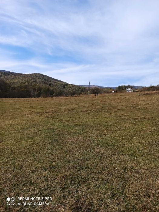 Продава се Парцел в Берковица - 1931 кв.м за 25 €/кв.м - Снимка #6