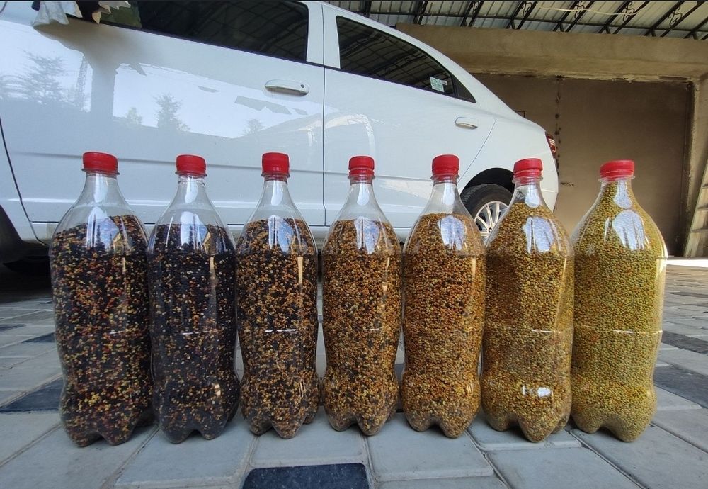 Цветочная пыльца свежая оптом и в розницу