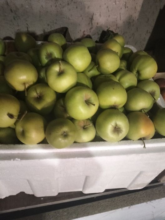 Продам яблоки. Тюлькубаские
