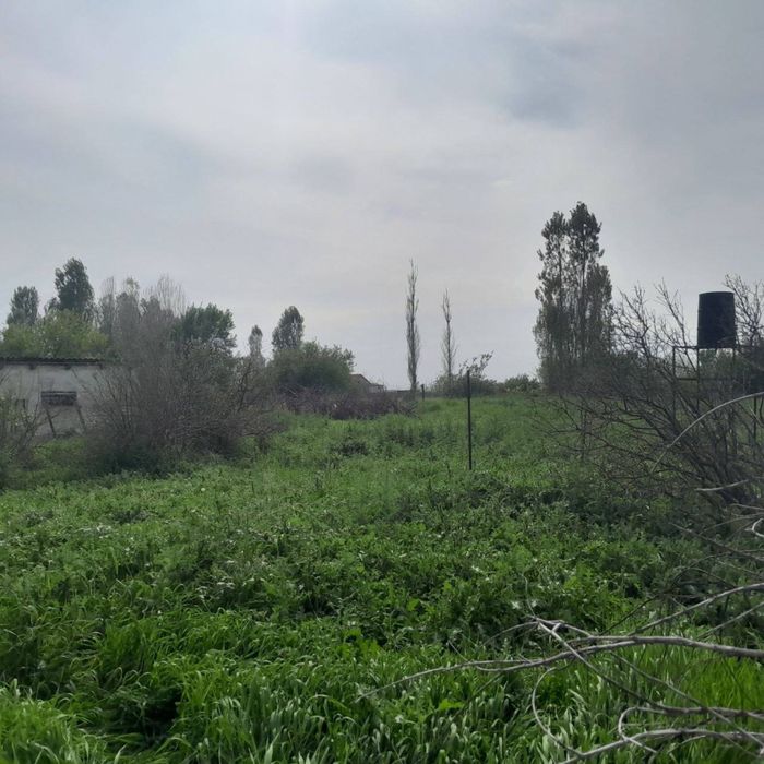 Участок пскет Uchastok piskent