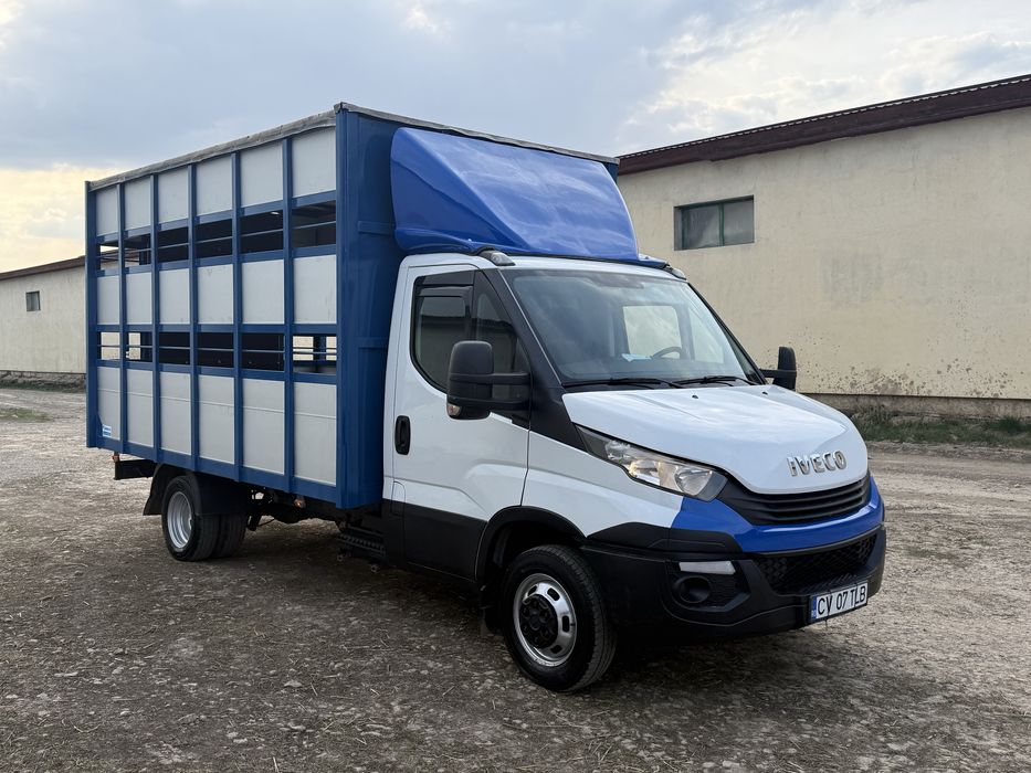 Iveco Daily cub transport animale vii