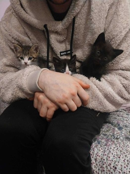 Котета бебета търсят дом и любов