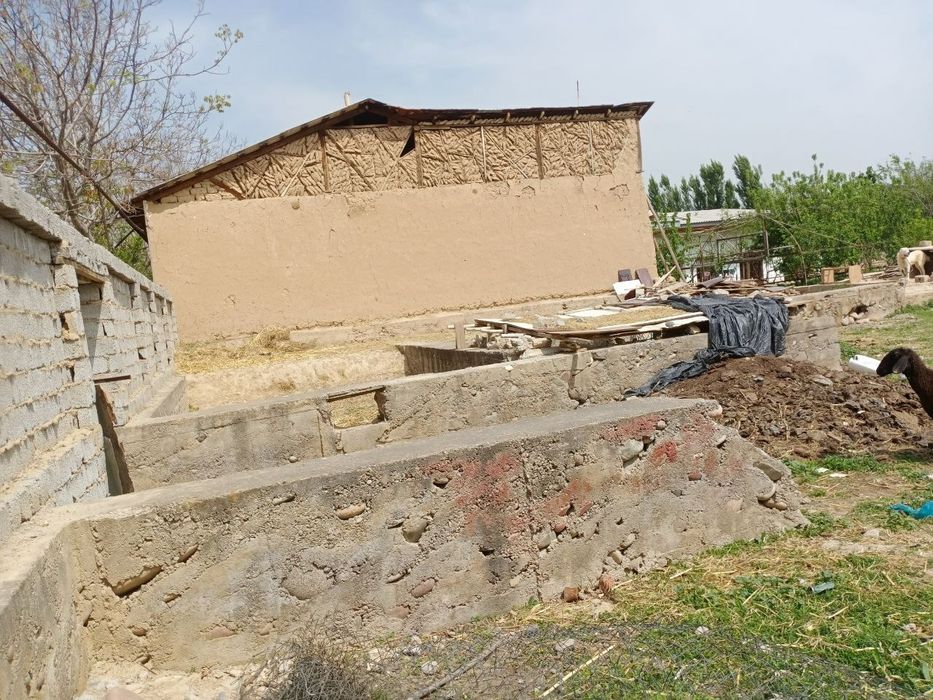 8 sotik uchaska sotiladi srochna Taraqiy maxxalasida