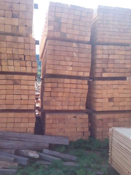 cherestea rasinoasa promoție !