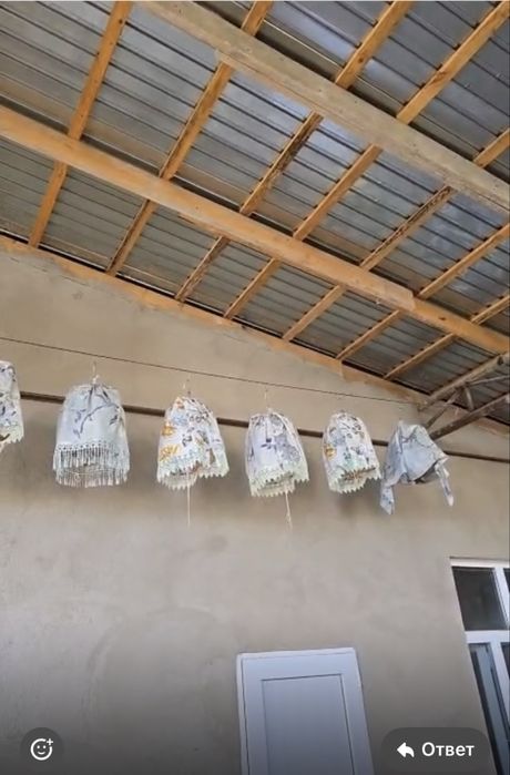 Певчие перепелки все в пении