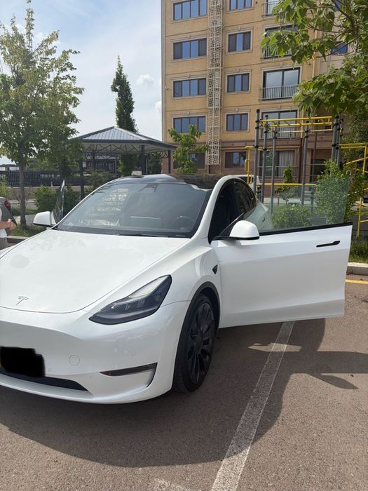 Tesla model y