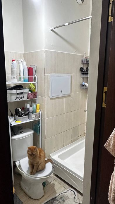 1 комн Сергели 3а 1/6/6 36500& метро 3 бекат