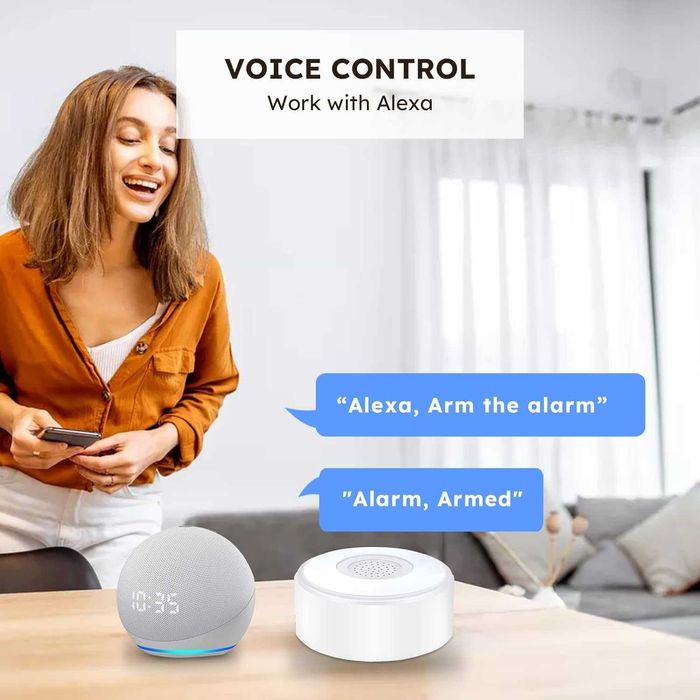 Автономна WiFi алармена система AGSHOME