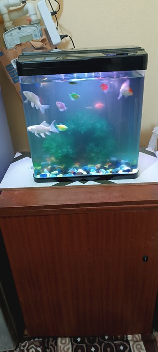 Аквариум сотилади