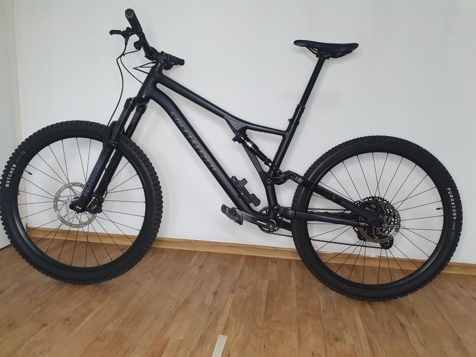Specialized Stumpjumper 29"