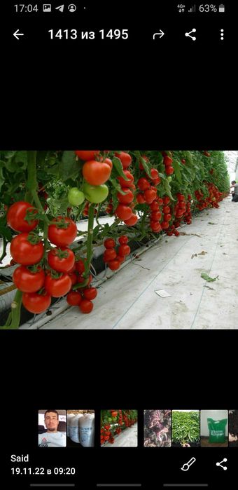 Ассалому алейкум биогумусга кизиканлар