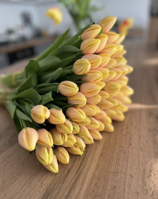 Тюльпаны предзаказ к 8 марта, самая лучшая цена