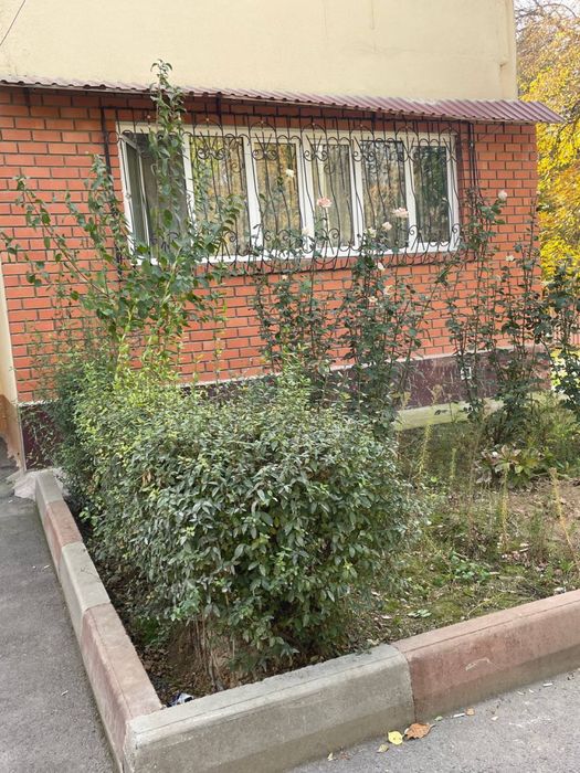 Сдам свой квартиру 2 х комнотный