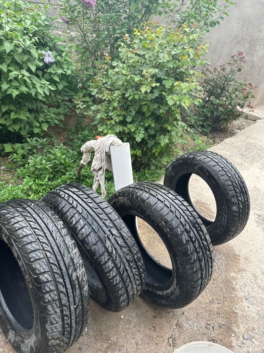 ШИНЫ, Летние шины