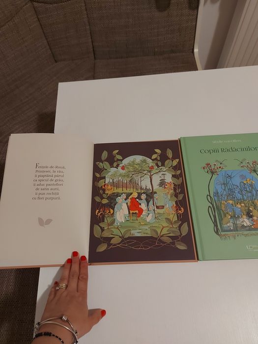 Carti in rime pentru copiii