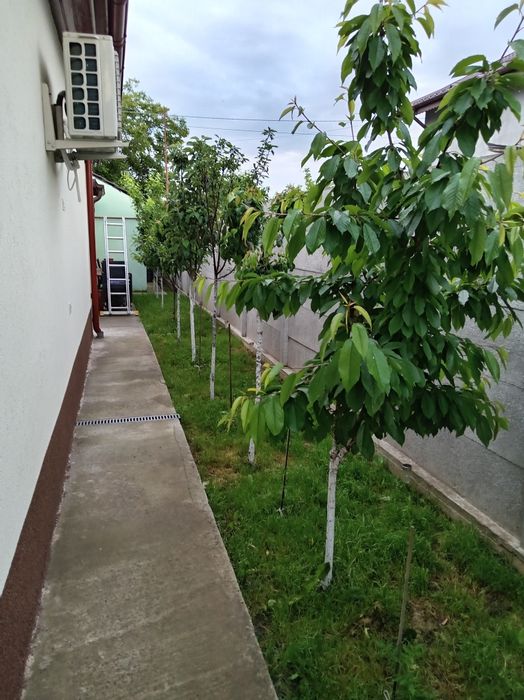 Casa de vânzare P+1