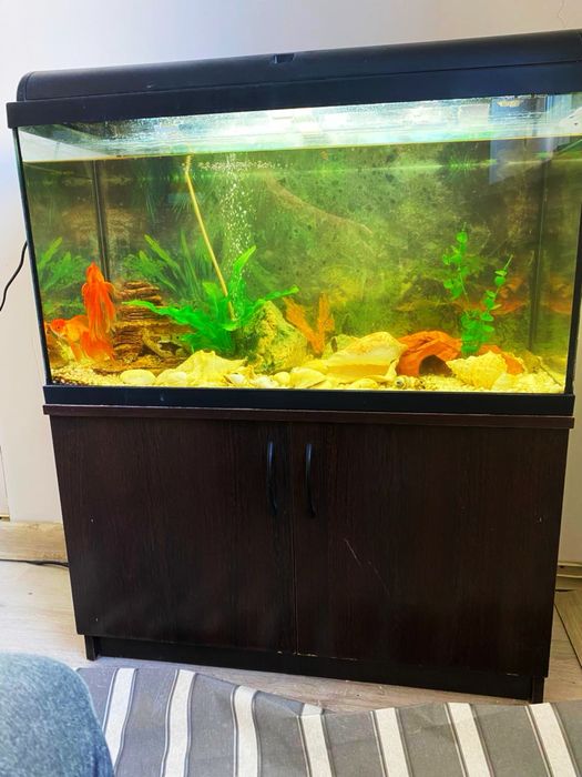 Продам аквариум 100 литров