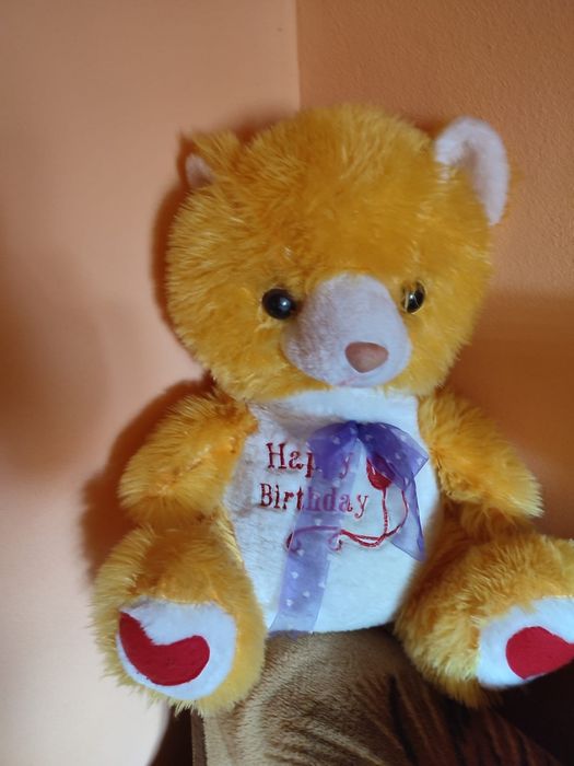 Ursuleți frumoși de pluș