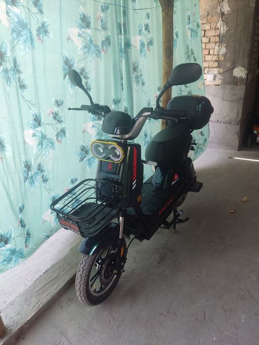 Sukutir xolati tiniq pashti yangi