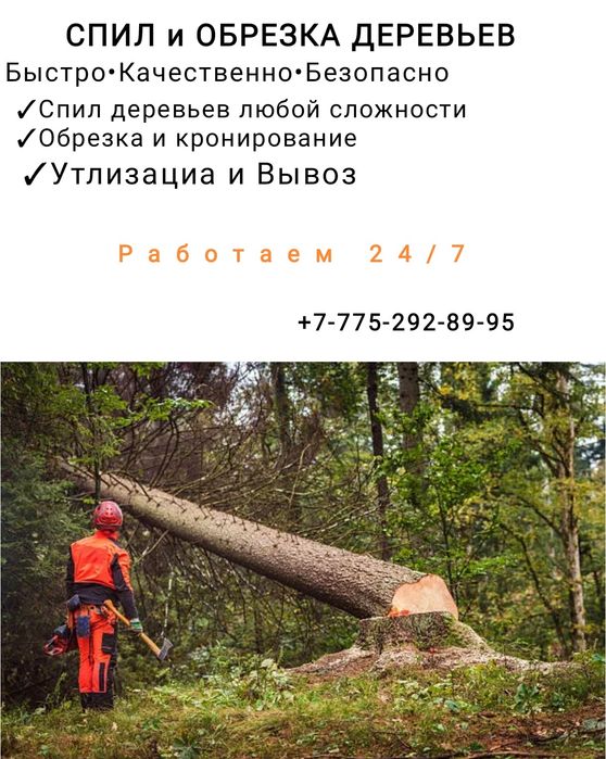 Спил деревьев агаш кесемиз