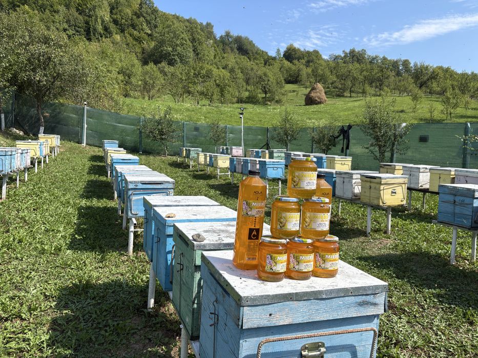 Miere de albine: Polifloră și Tei.Producție 2025 ,livrare la domiciliu