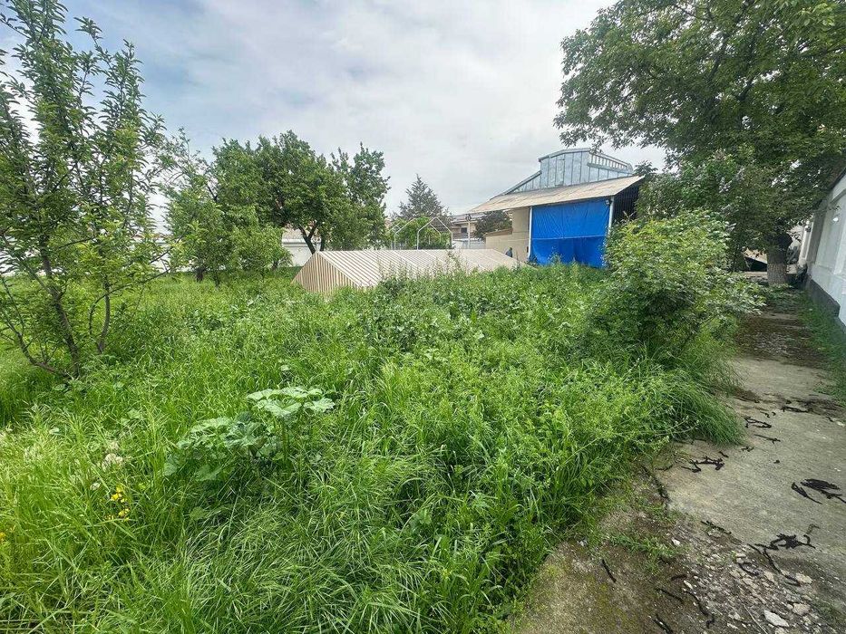 Продается ДАЧА Для себя или готовый бизнес!