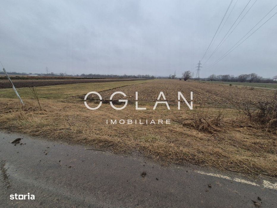 Teren extravilan 11.300 mp, front 39 m, Selimbar