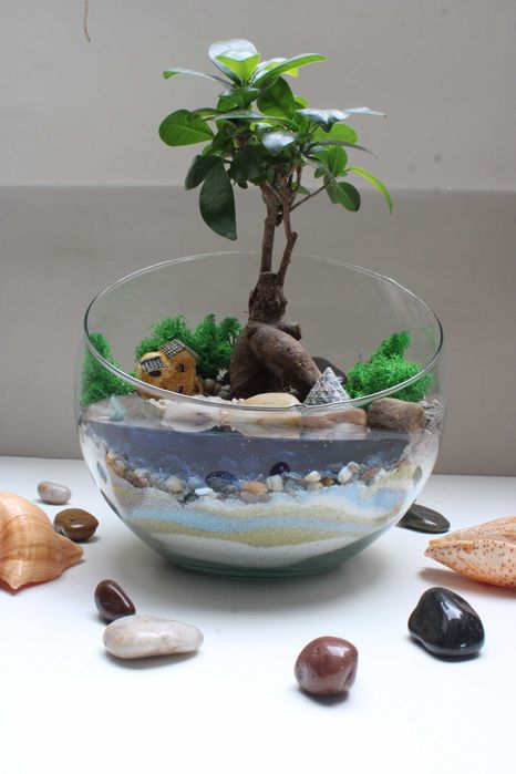 Флорариум с бонсай - подарък за рожден ден и др поводи