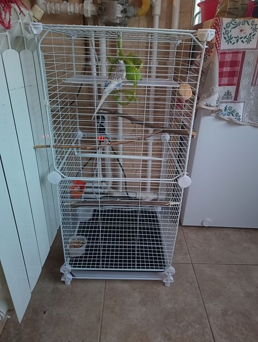Cușcă  colivie voliera  mare papagali 80x36x36