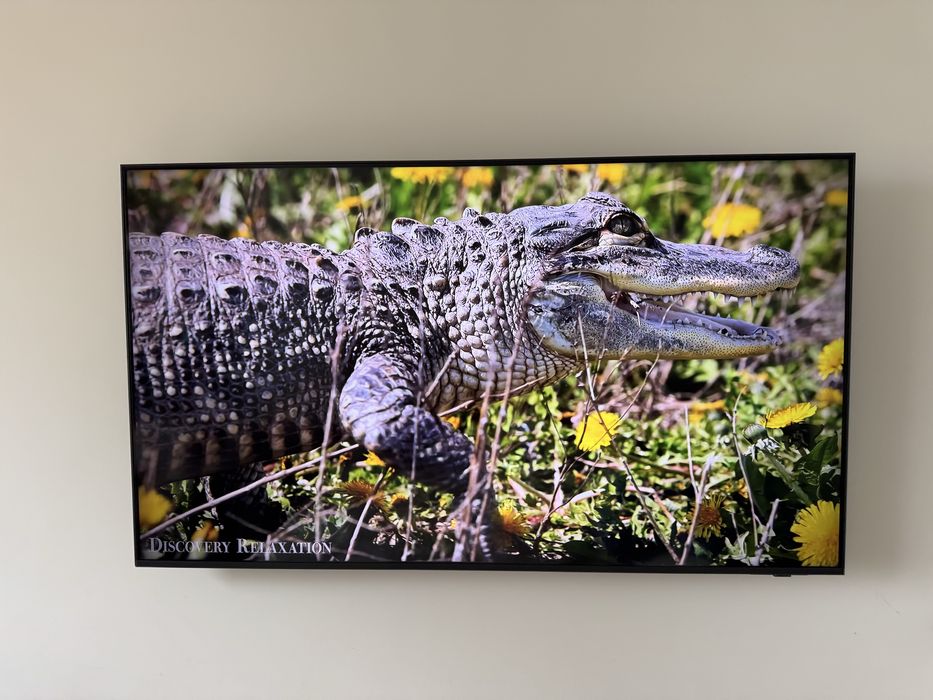 Телевизор Samsung QE55QEF1AUXCE 140 см