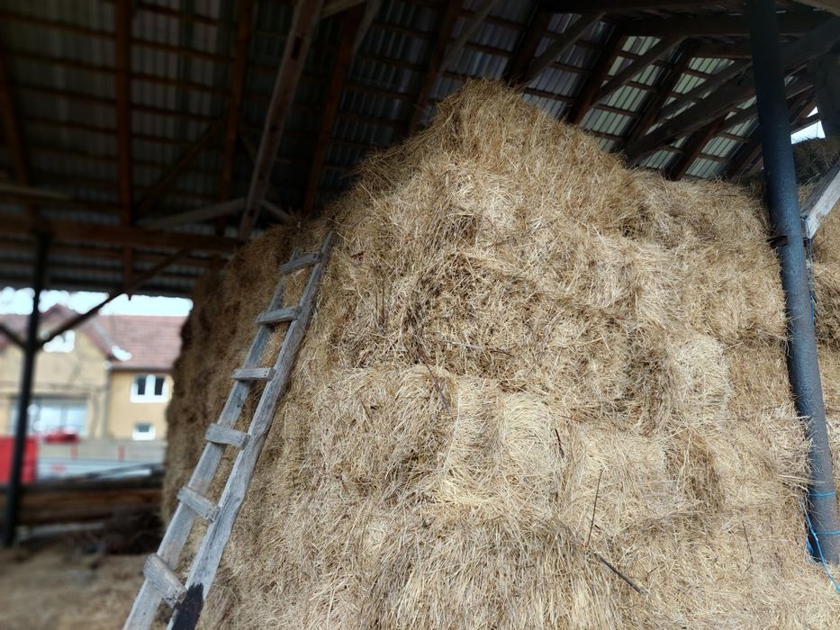 Baloți de făn de vănzare