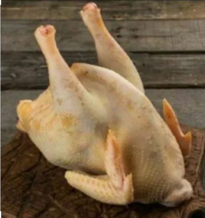 Куры несушки продаю