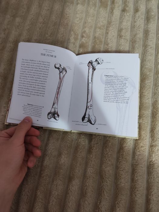 Atlasuri de anatomie