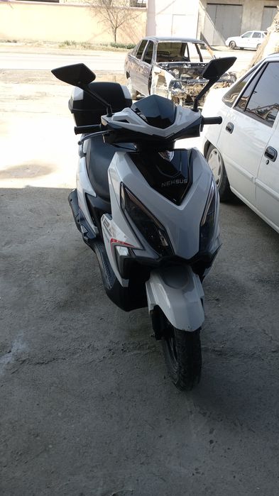 Hamma joyi yahshi nomi neksus