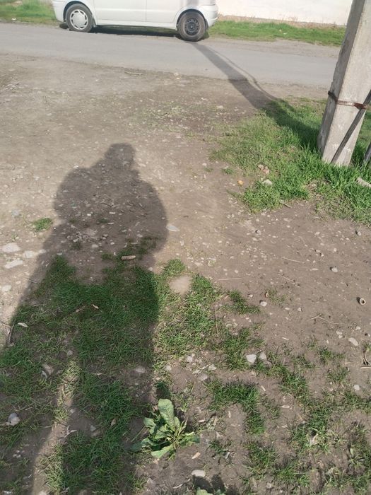 Продам ЗЕМЛЮ. Старые Сергели. Фасада нет. Только ворота. (2 метра)