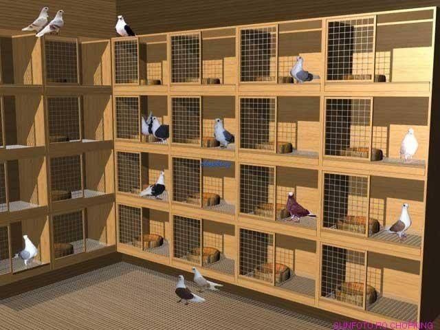 Теплые домики для голубей