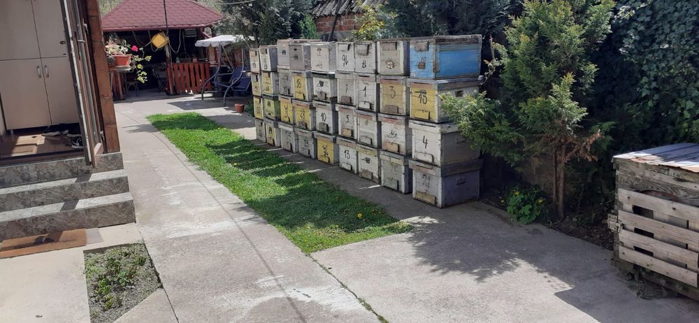 Vand cutii stupi